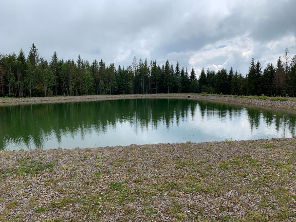 Residenz Schauinsland Todtnauberg - Fewo 17 - Sauna - Spielzimmer Fuer Kinder - Naehe Feldberg Esterno foto