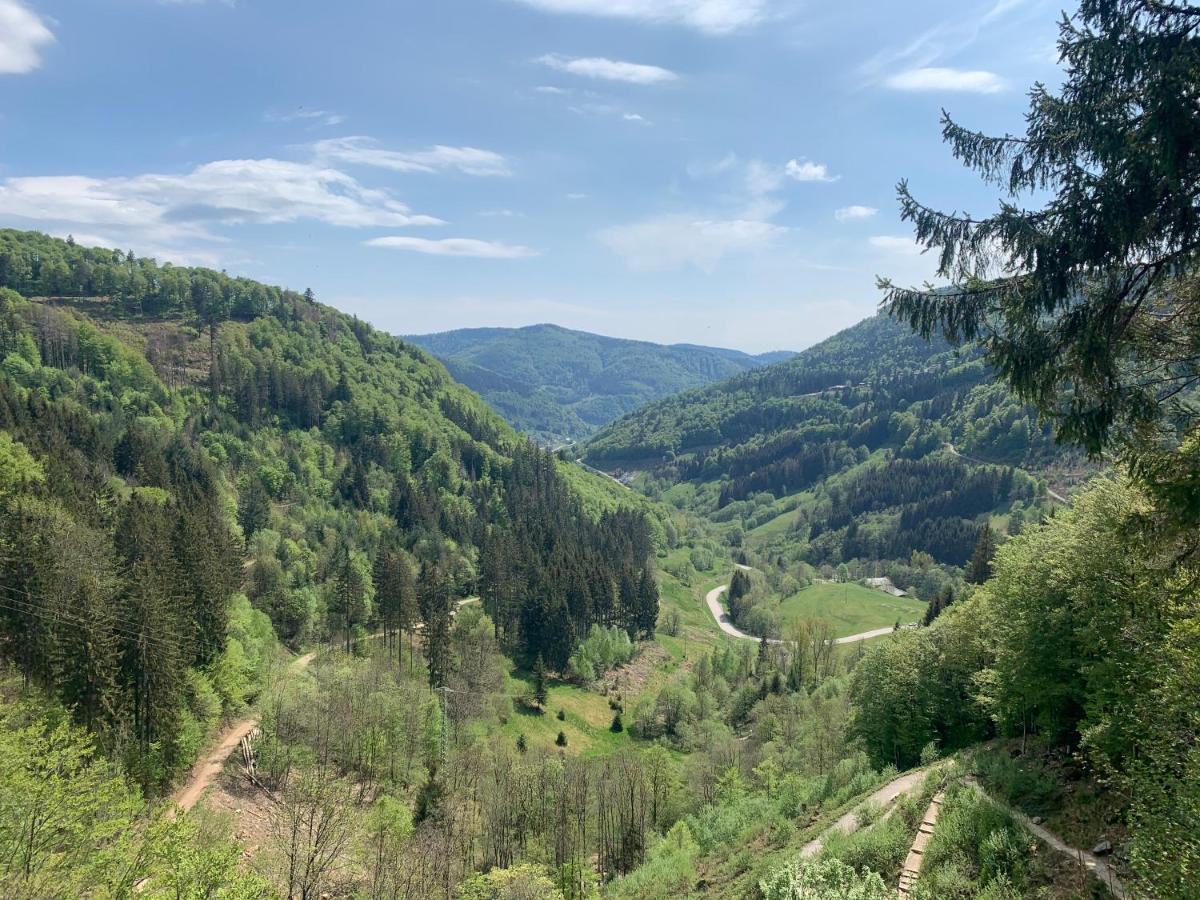 Residenz Schauinsland Todtnauberg - Fewo 17 - Sauna - Spielzimmer Fuer Kinder - Naehe Feldberg Esterno foto