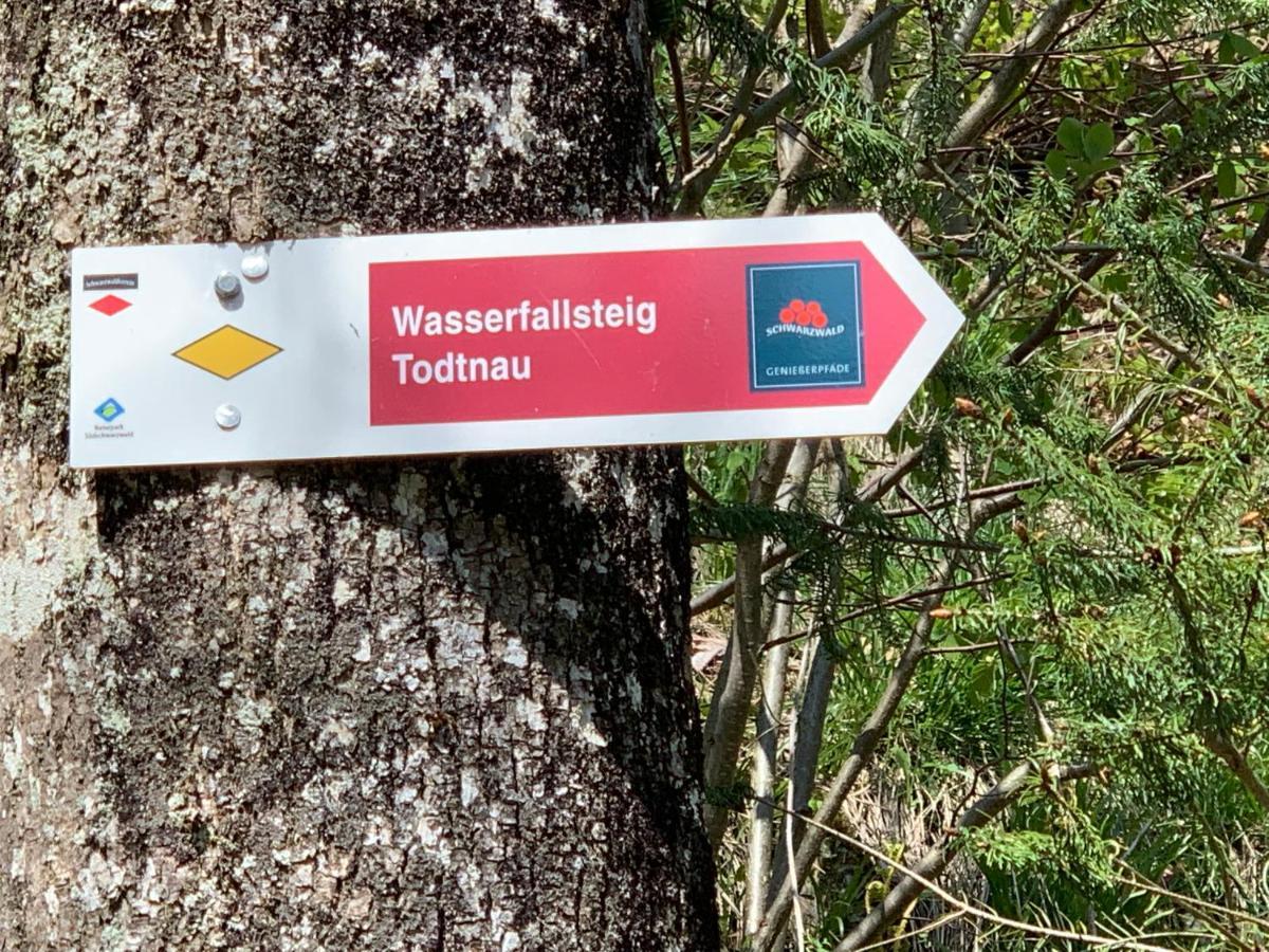 Residenz Schauinsland Todtnauberg - Fewo 17 - Sauna - Spielzimmer Fuer Kinder - Naehe Feldberg Esterno foto